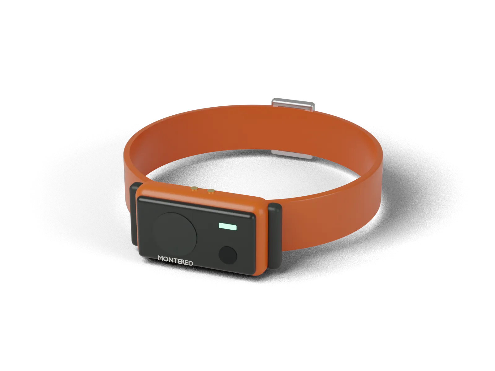 Collar Rastro: Collar GPS para perros